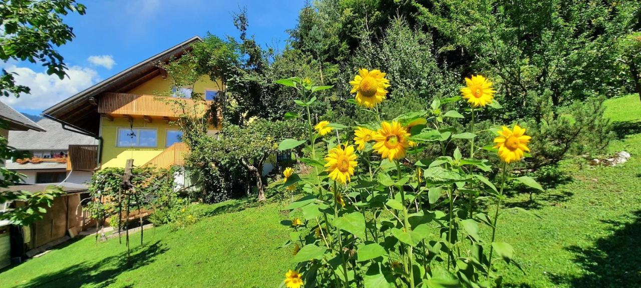 Apartment Murka Begunje na Gorenjskem Luaran gambar